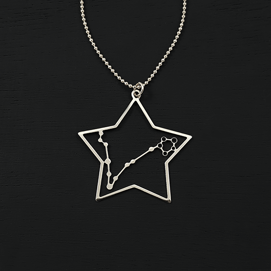 Pisces necklace in silver by Delftia Science Jewelry